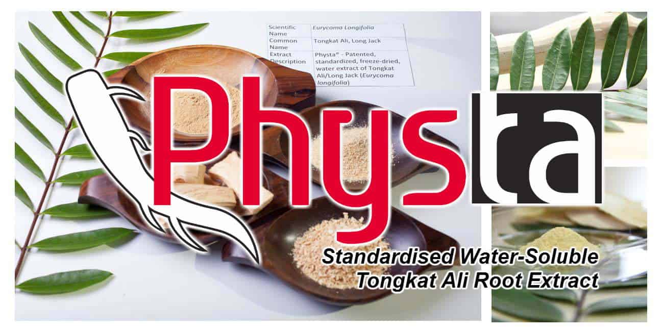 physta dr. ismail tambi