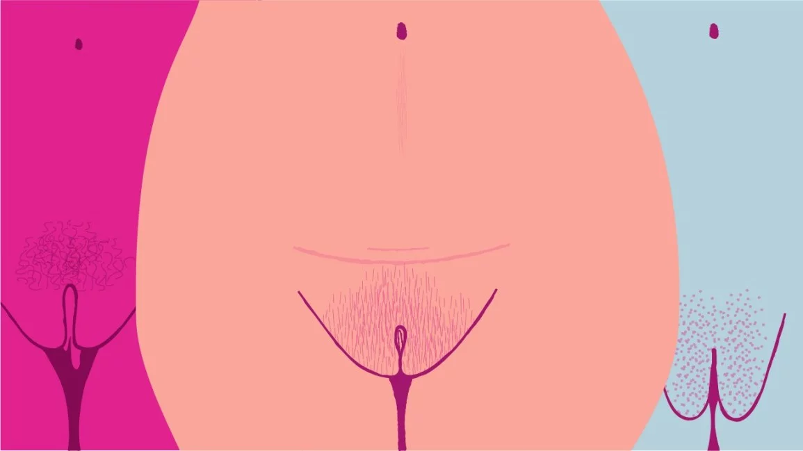 penerangan tentang faraj vagina