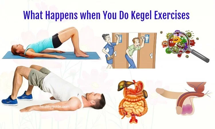 Senaman Kegel