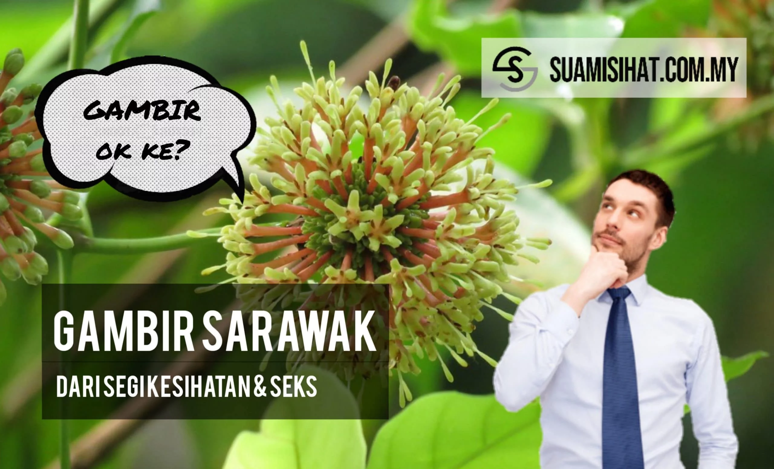 Mujarab-atau-mitos-miyak-lintah-belacak-dhab Mujarab-atau-mitos-miyak-lintah-belacak-dhab