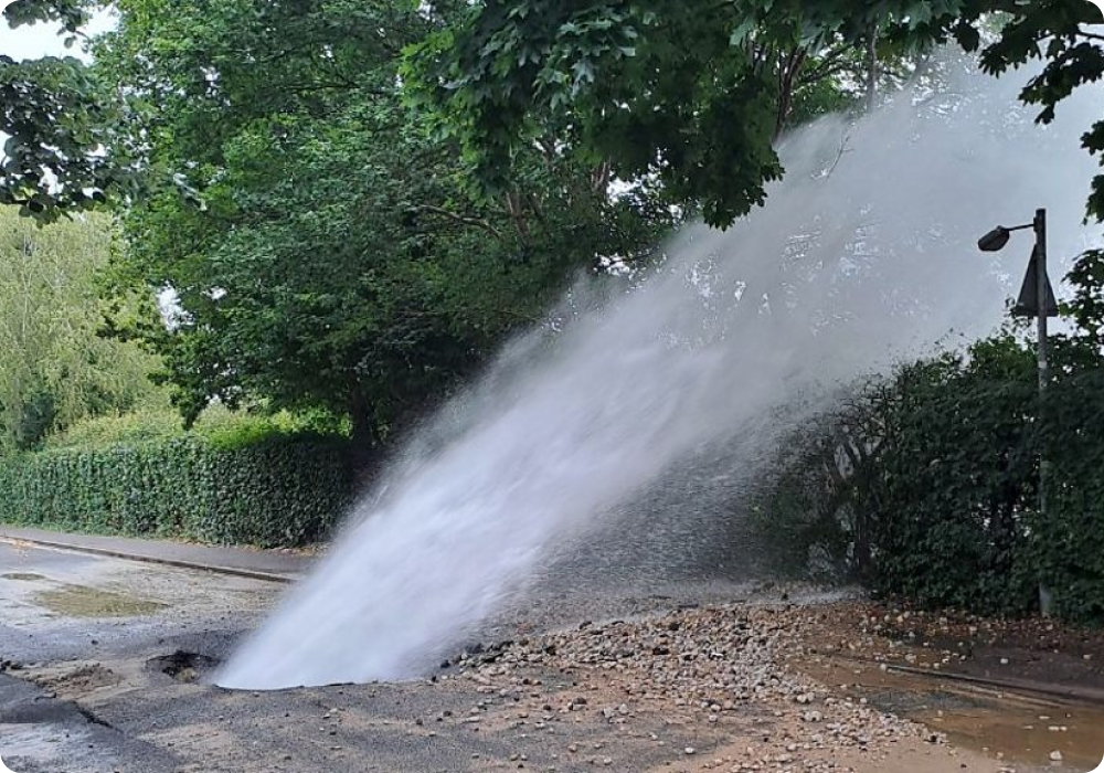 pancut muka air mani